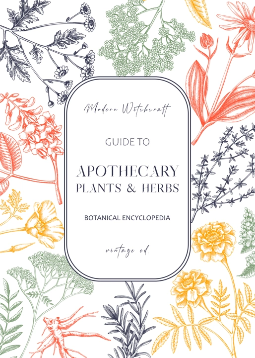 Apothecary plant frame design. Witchcraft background. Herbal remedies, medicinal plant, witch herbs, natural medicine hand-drawn vector illustration. Vinatge card template in color. NOT AI genereted